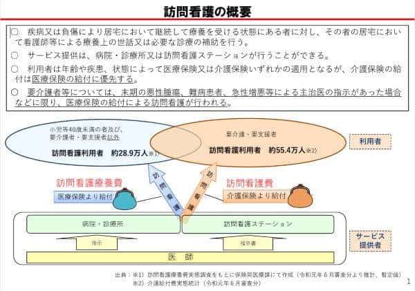 訪問看護の概要 訪問看護の概要