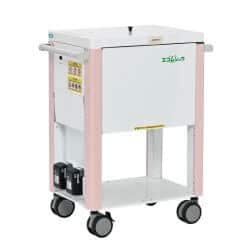 エコムシュウ本文